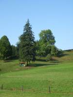 Bergweiden in ...  p.h. 25.08.2007