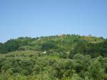 Wein, W�lder ...  p.h. 25.08.2007