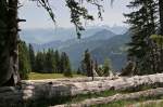 Wanderung auf der Rigi irgendwo zwischen Kl�sterli und Kulm, Blick ...