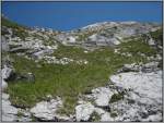 Pilatus Steil nach oben: Impressionen von der Fahrt zum Pilatus Kulm mit der Zahnradbahn aus Alpnachstad. (19.07.2007)