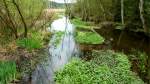 Heideflu� �rtze bei ehem. ...  Oxfordian Kissuth 30.04.2012