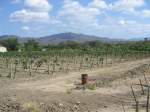 Landschaft aus ...  Kevin Hilgert 08.09.2007