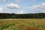 Inseln R�gen und Hiddensee Sommerwiese auf R�gen (bei Stedar) [29.07.2007]