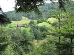 Schwarzwald Der Schwarzwald von der sch�nsten Seite Niederwasser Juli 2007