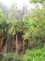 Plitvicka jezera Einer der unz�hligen Wasserf�lle, die die Plitvicer Seen miteinander verbinden. St�ndig Lauf und Lage ver�ndernd ist dieser urbewaldete Nationalpark ein einzigartiges Naturschauspiel in Kroatien.    10.08.2007