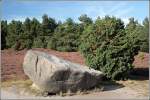 L�neburger Heide In der Klein B�nstorfer Heide bei Bad Bevensen. Aufnahmedatum: 09.09.2007