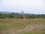 Eine Giraffe ...  Kevin Hilgert 10.09.2007