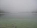 Nebel -Mystic Mist-  