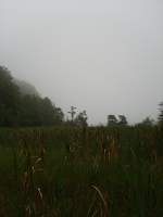 Nebel Dieser Blick bot sich mir am obersten der Plitvicer Seen. Keine Sonne, keine Hitze - daf�r Nebel, k�hl und regnerisch. Kurz danach, genau als wir am Endpunkt der Tour ankamen, fing ein kr�ftiges Gewitter an.    10.08.2007