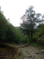 Koranaregion Wo ist der Fluss???? Ausgetrocknetes Tal der Korana nahe Catrnija, Blick flussaufw�rts in Richtung Plitvicer Seen.      11.08.2007