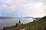 Bieler-, Neuenburger-, Murtensee Blick von den Weinbergen oberhalb Ligerz auf den Bielersee (Mai 1993)