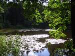 S�chsische Schweiz in einem Waldt�mpel bei Rosenthal-Bielatal laden die letzten Sonnenstrahlen des Tages im Sp�tsommer zur Ruhe und Besinnung ein.
09.September 2007  