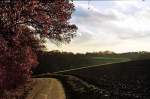 Ruhrgebiet Sp�therbstliche Szenerie bei M�lheim an der Ruhr (November 1990)