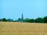 Innviertel Weizenfeld, im Hintergrund der Kirchturm von RIED i.I.;