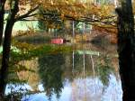 M�hlviertel Herbstliche Spiegelung im Riegelhofer-Teich; Okt.2006