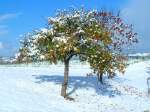 M�hlviertel Der erste Schnee! 3.11.2006 