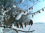 Innviertel Winterlandschaft; 060203