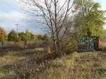 Allgemein Die Natur holt sich den Rangierbahnhof Wuhlheide wieder, und die Graffitisprayer haben einen Ort zum �ben gefunden. Eigentlich sollte das ja ein Bahn-Foto werden, aber es kam einfach kein Zug. 21.9.2007