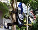 Landschaften Der Baum stand un�bersehbar im Weg. 
Pech
Man sollte doch vorsichtiger in Key West herumflitzen, selbst als Geisterhexe. 
Das tragende Element, der Besen, quer durch ein Loch im Baum gesto�en, mit schwarzen Kehrichts�cken, wei�er Farbe und allerlei Fantasie war die Hexe plattgedr�ckt an den Baum modelliert, ein gelungenes Halloween Sujet.

Von SAMHAIN, dem gr��ten keltischen Fest stammt heute noch das meist in Katholischen Gegenden gefeierte Allerheiligen. Und, bereits wieder im Abflauen, kam aus der neuen Welt (durch die Kultur der irischen Einwanderer dorthin gelangt) das kommerziell riechende Halloween zur�ck nach Irland und Europa. 