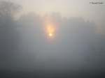 Nebel Der Planet sucht sich den Weg 01.11.2007