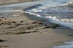 Kreis Pl�n Standgut - Sch�nberger Strand