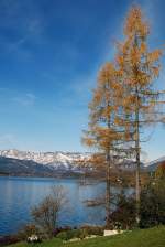 Hallst�tter See im Salzkammergut mit Dachsteingebirge, bei Obersee (29.10.2007)  ...