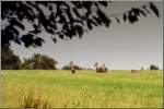 Abgelagerte Strohballen der Ernte vom Sommer erm�glichten es mir mich ...