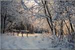 Winter Das r�tliche Morgenlicht schafft im frisch verschneiten Crimmitschauer Wald in Chemnitz eine wunderbare Atmosph�re. Die Aufnahme entstand im Winter 1996.
