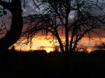Jerichower-Land Und noch einmal der heutige Sonnenuntergang in Niegripp aus einer etwas anderen Perspektive. ( 12.11.2007 )
