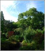 Ruhrgebiet Botanischer Garten Duisburg-Kaiserberg - Foto vom 21. September 2007