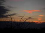 Niederbayern Sch�ne Stimmungs-Aufnahmen von meinen Zimmerfenster aus Fotografiert am 16.11.2007 (Pfarrkirchen)   
