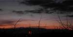 Niederbayern Sch�ne Stimmungs-Aufnahmen von meinen Zimmerfenster aus Fotografiert am 16.11.2007 (Mit der Gartlberg Kirche von Pfarrkirchen)   