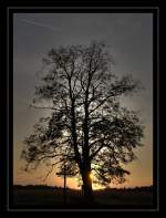 Oberbayern Abenstimmung im Goldenen Sp�therbst, bei Haag i.Obb