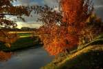 Oberbayern Der letzte Sonnentag im Oktober. Am Amperkanal bei Allershausen