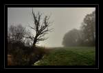 Oberbayern In den Amperauen bei Freising, fr�h morgens im Sp�therbst