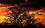 Sonnenunterg�nge Sch�ne Stimmungs-Aufnahmen von meinen Zimmerfenster aus Fotografiert am 16.11.2007 (Pfarrkirchen) 