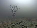 Oberbayern erster Frost in den Amperauen bei Freising