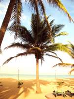 Landschaft Dieses Strandfoto habe ich in Sri Lanka gemacht und ich nenne es-Einfach mal abschalten.Ich finde,man kann dabei seine Gedanken sortieren und schon an den n�chsten Urlaub denken,ganz egal wohin.