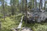Norrbotten Muddus-Nationalpark n�rdlich von Jokkmokk in Lappland (24.7. 2007)1