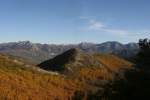 Hinterland Ein Kastanienhain im Monti Picenti.