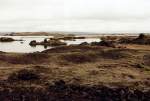 Myvatn-See (dt. ...  G�nther Glauz 25.02.2007