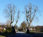 Ein nat�rlich gewachsenes Tor ...  De Rond Hans und Jeanny 21.12.2007