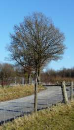Diese Stra�e f�hrt von ...  De Rond Hans und Jeanny 21.12.2007