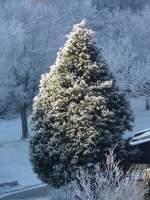 Wenn die B�ume mit ...  De Rond Hans und Jeanny 26.12.2007