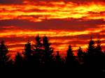 Morgenrot �ber Ried i.I.; ...  innviertel 18.01.2008