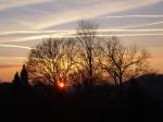 Th�ringer Wald, Rennsteig Ein Januar-Sonnenuntergang l�sst die Sonne hinter den B�umen verschwinden.   
16.29 Uhr 
13.01.2008 
