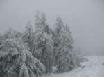 Harz Ein WInterzauber auf dem Brocken am 2.2.2008
