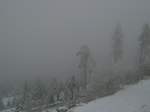 Harz Ein WInterzauber auf dem Brocken am 2.2.2008