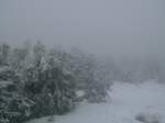 Harz Ein WInterzauber auf dem Brocken am 2.2.2008