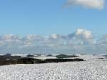 Winter Am 02.02.08 gab's oberhalb von 400 m etwas Schnee in Luxemburg. Dieses Foto entstand in der N�he von Goesdorf.